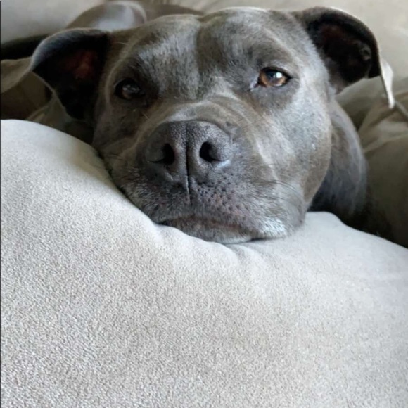 Meet your Posher, Terry - Picture 5 of 6